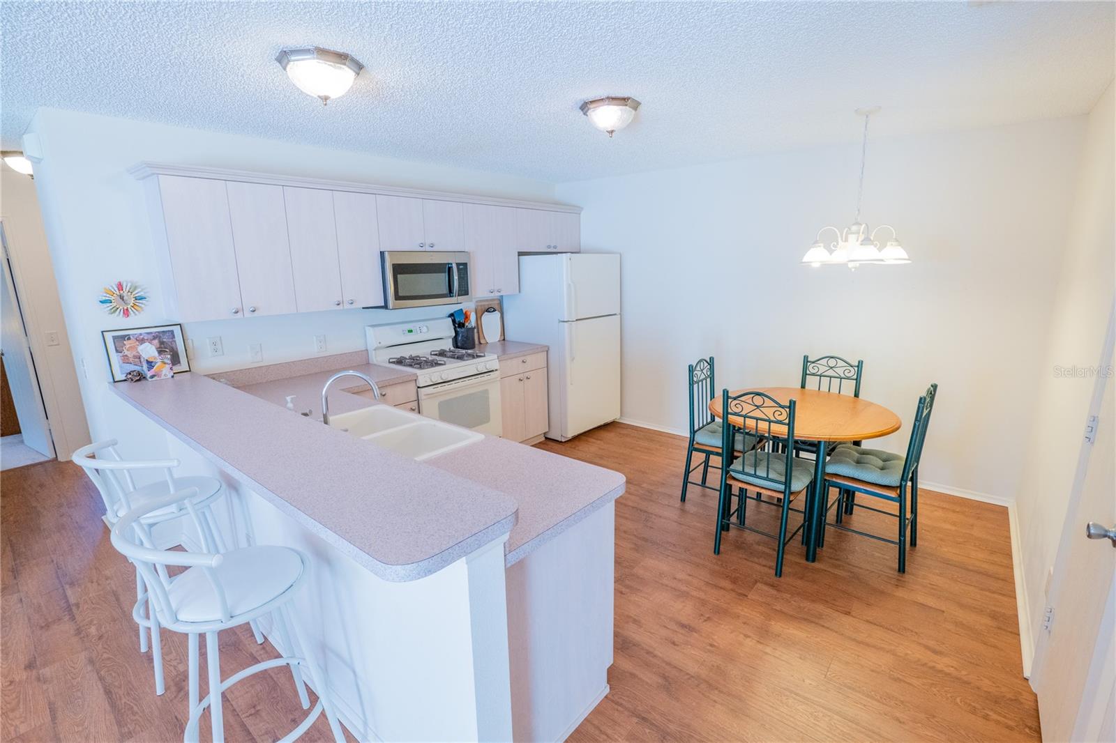 8201 SE 169TH PALOWNIA LOOP, THE VILLAGES, FL, 32162