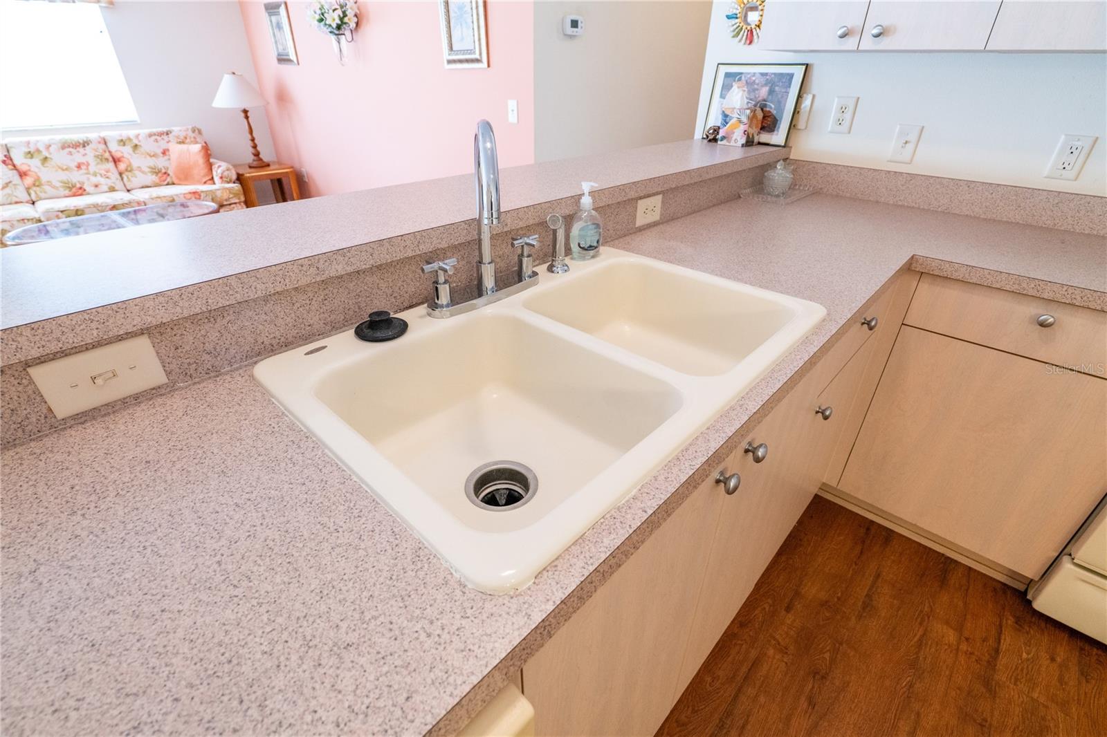 8201 SE 169TH PALOWNIA LOOP, THE VILLAGES, FL, 32162