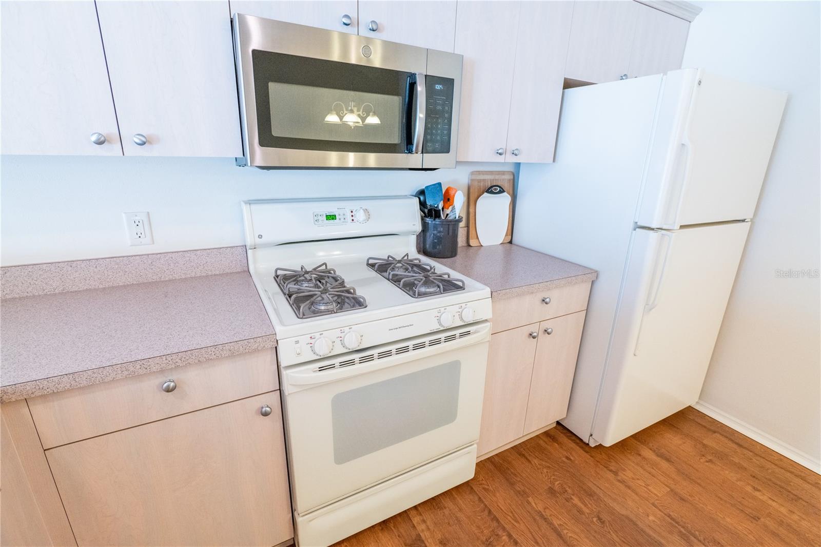 8201 SE 169TH PALOWNIA LOOP, THE VILLAGES, FL, 32162