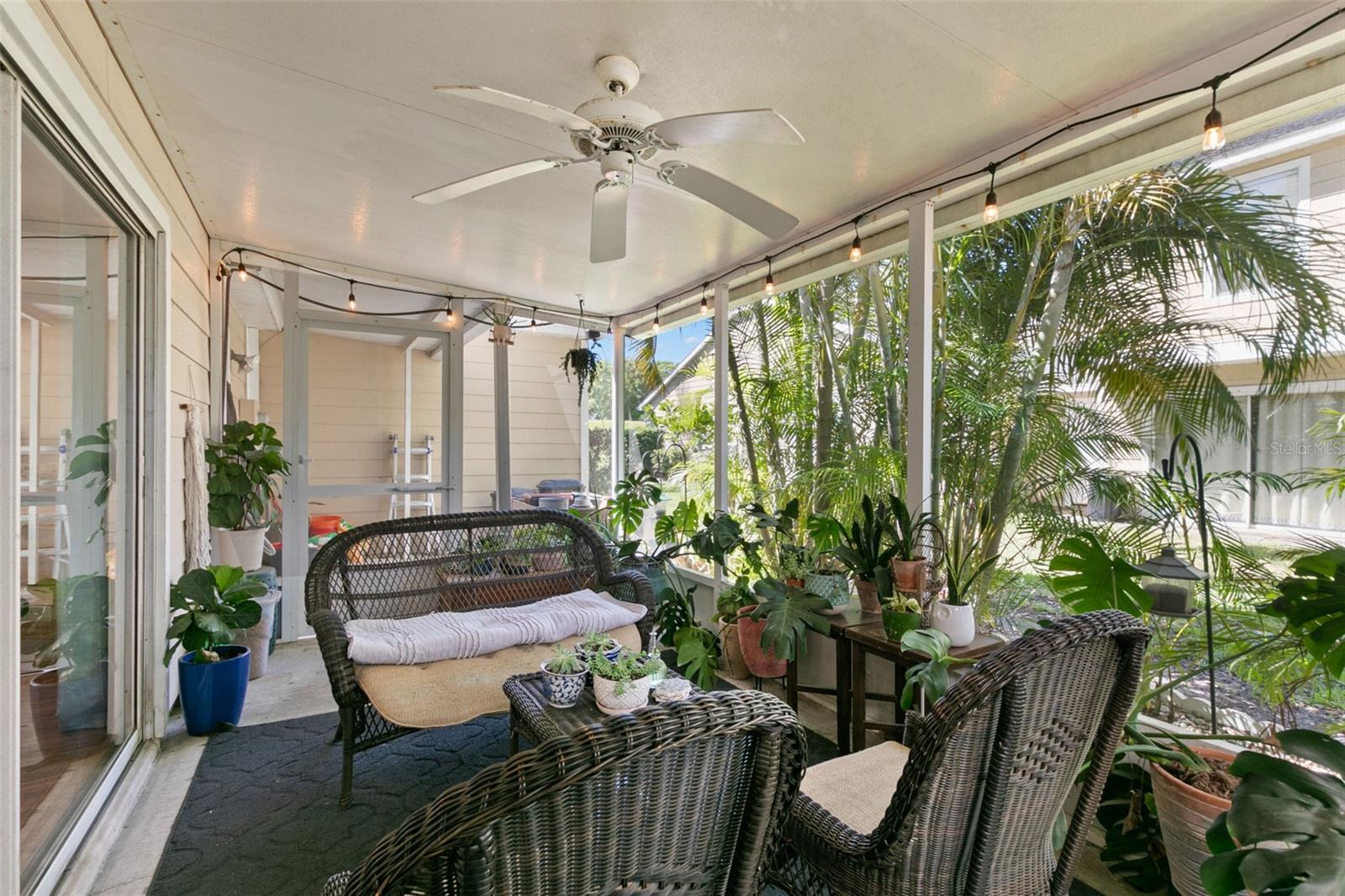 2414 HOUNDS TRL, PALM HARBOR, FL, 34683