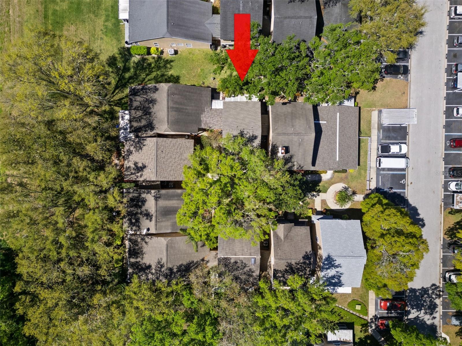 2414 HOUNDS TRL, PALM HARBOR, FL, 34683