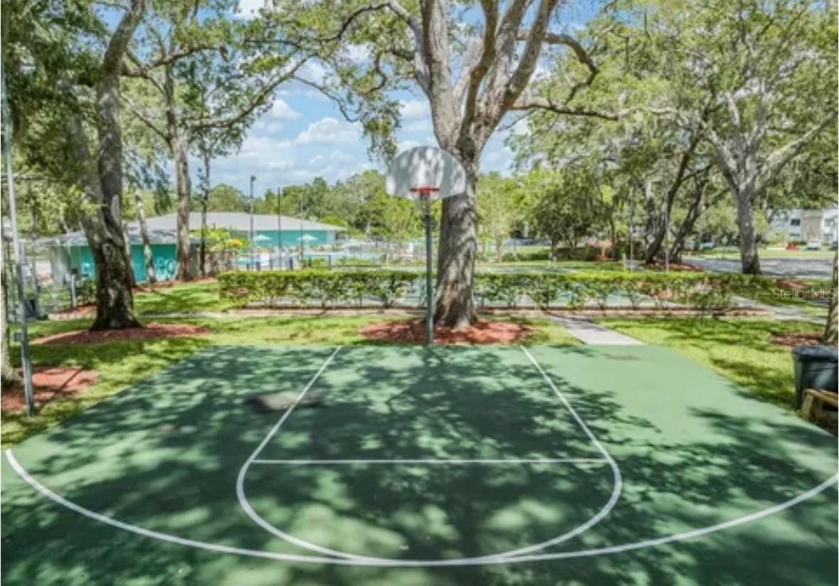 2414 HOUNDS TRL, PALM HARBOR, FL, 34683