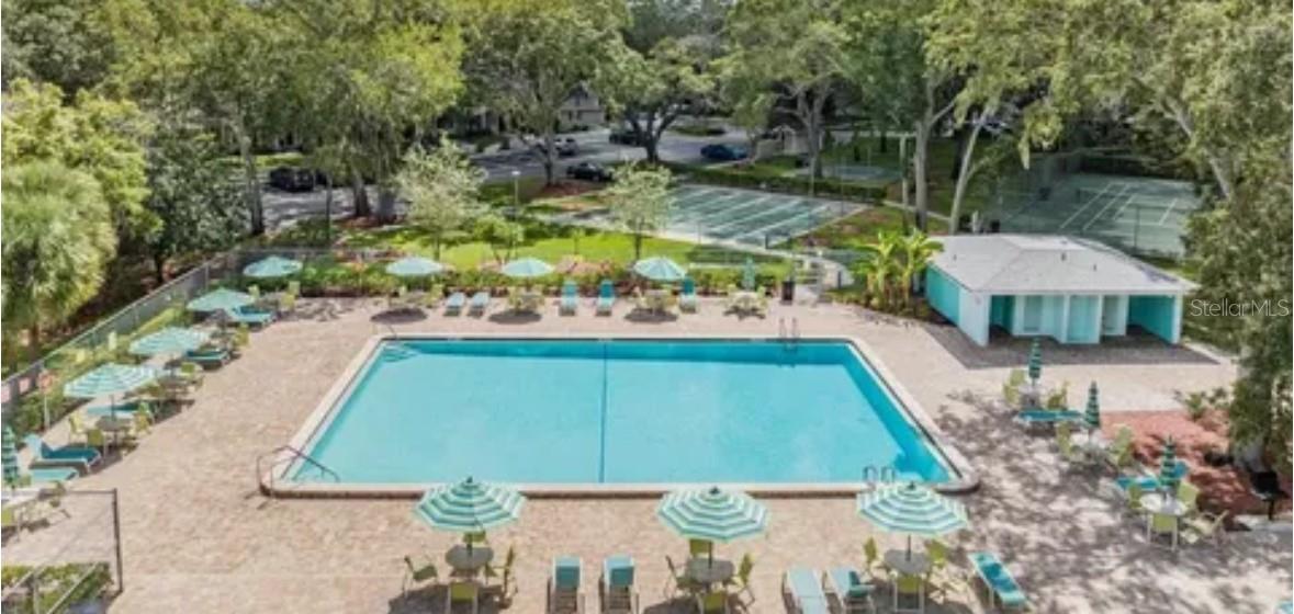 2414 HOUNDS TRL, PALM HARBOR, FL, 34683