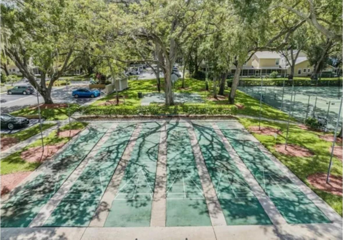 2414 HOUNDS TRL, PALM HARBOR, FL, 34683