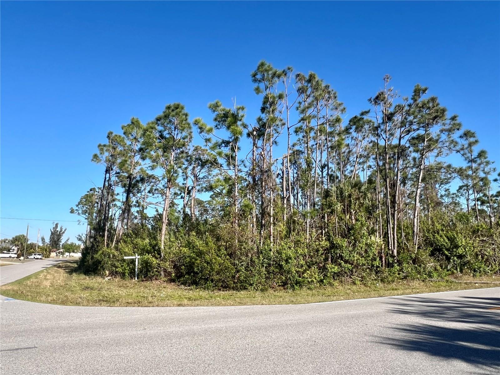 15249 RED HEAD AVE, PORT CHARLOTTE, FL, 33981