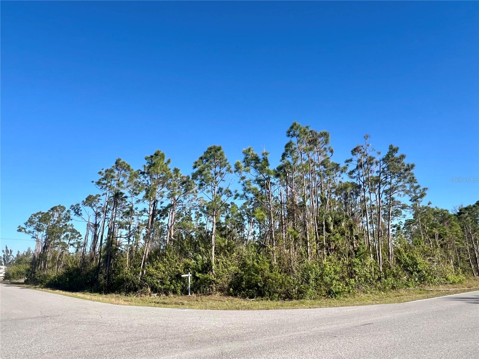 15249 RED HEAD AVE, PORT CHARLOTTE, FL, 33981