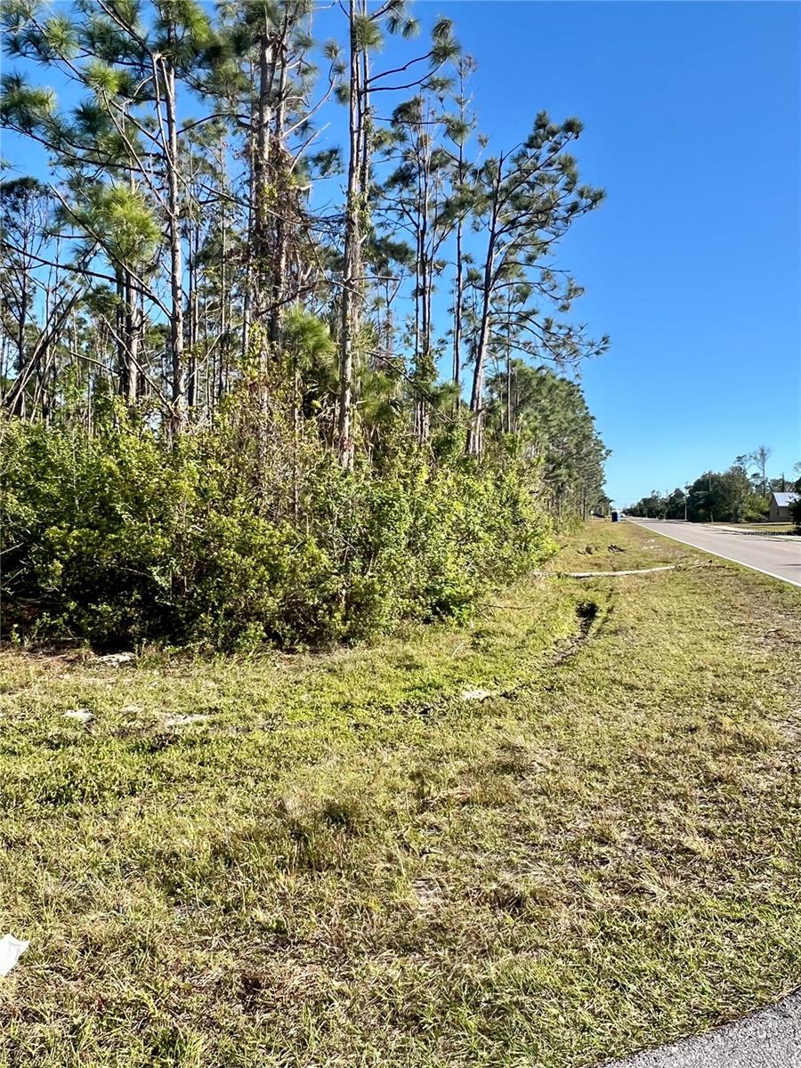 15249 RED HEAD AVE, PORT CHARLOTTE, FL, 33981
