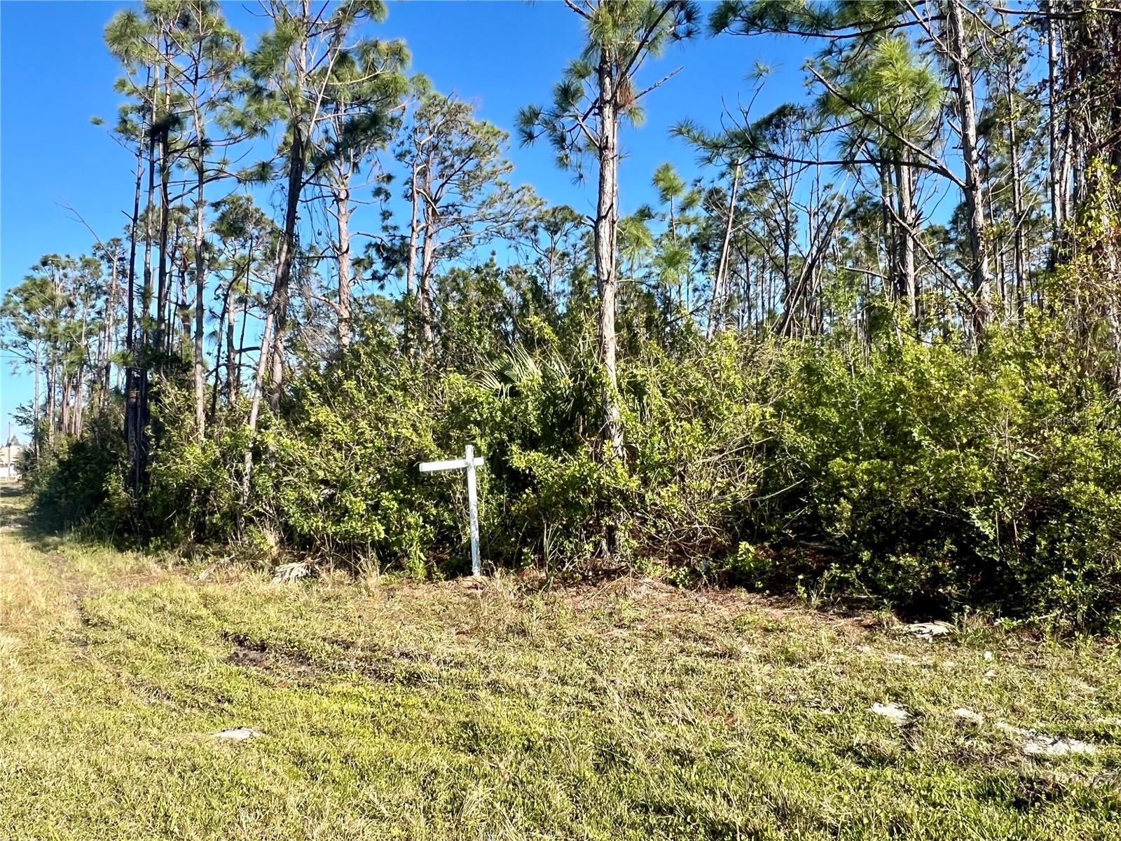 15249 RED HEAD AVE, PORT CHARLOTTE, FL, 33981