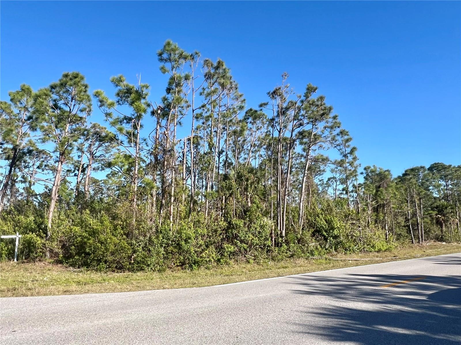 15249 RED HEAD AVE, PORT CHARLOTTE, FL, 33981