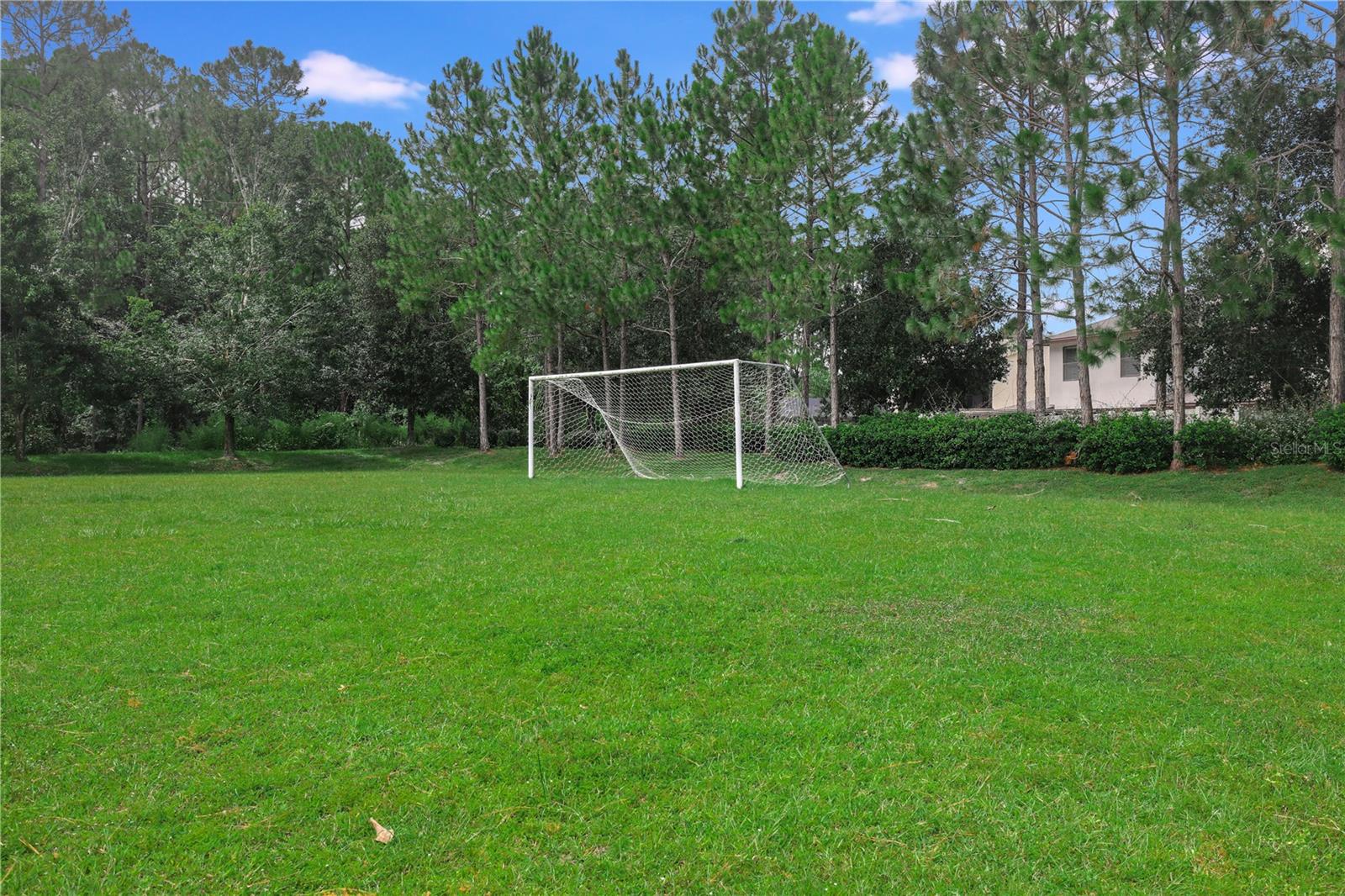 4690 PLANTATION OAKS BLVD, ORANGE PARK, FL, 32065