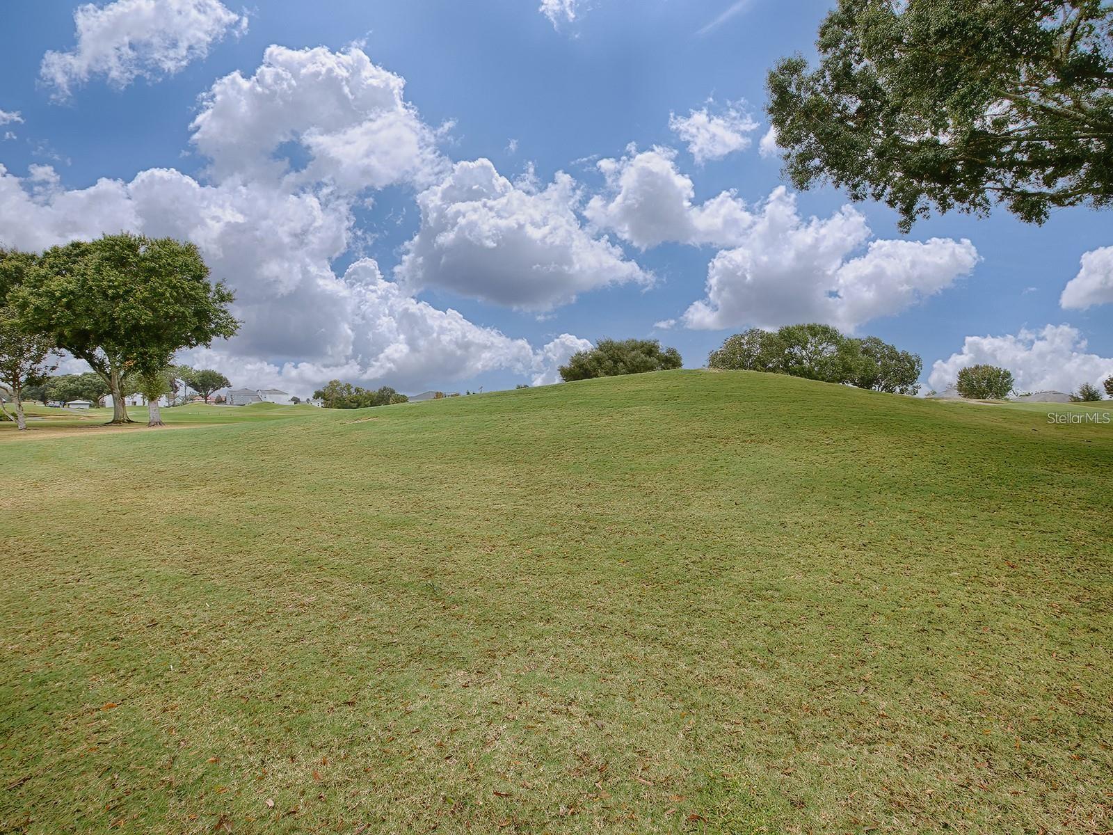 30454 ISLAND CLUB DR, DEER ISLAND, FL, 32778