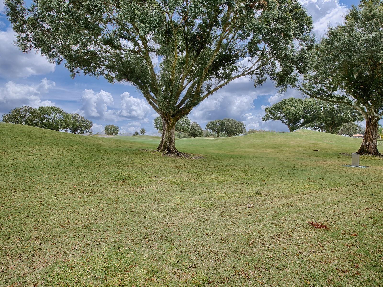 30454 ISLAND CLUB DR, DEER ISLAND, FL, 32778