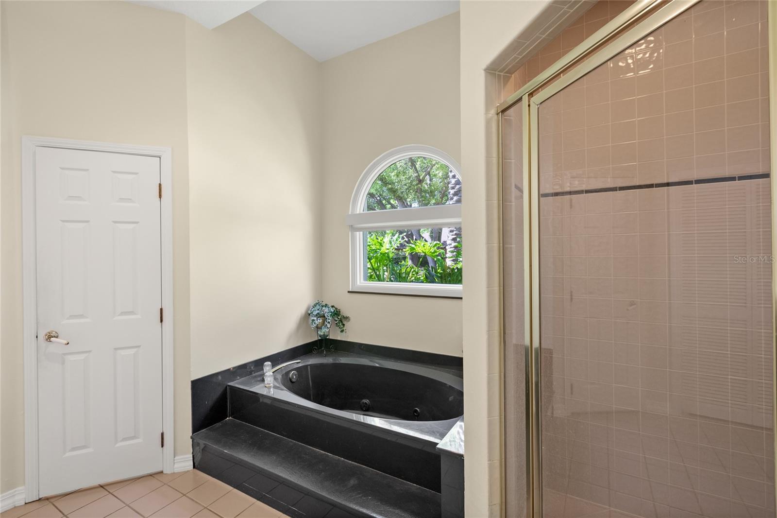 2140 LILYPAD LN, WINDERMERE, FL, 34786