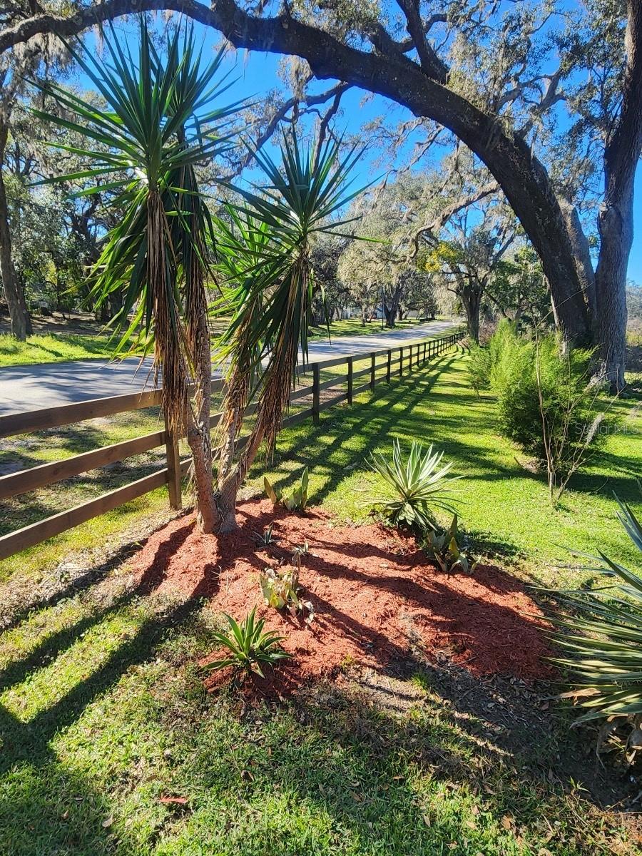 39127 PRETTY POND RD, ZEPHYRHILLS, FL, 33540