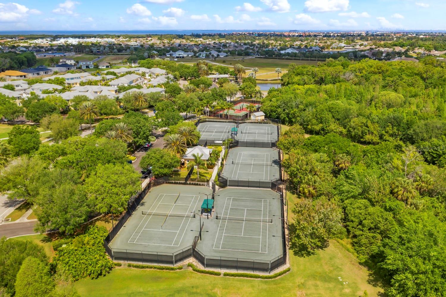 513 MANNS HARBOR DR, APOLLO BEACH, FL, 33572