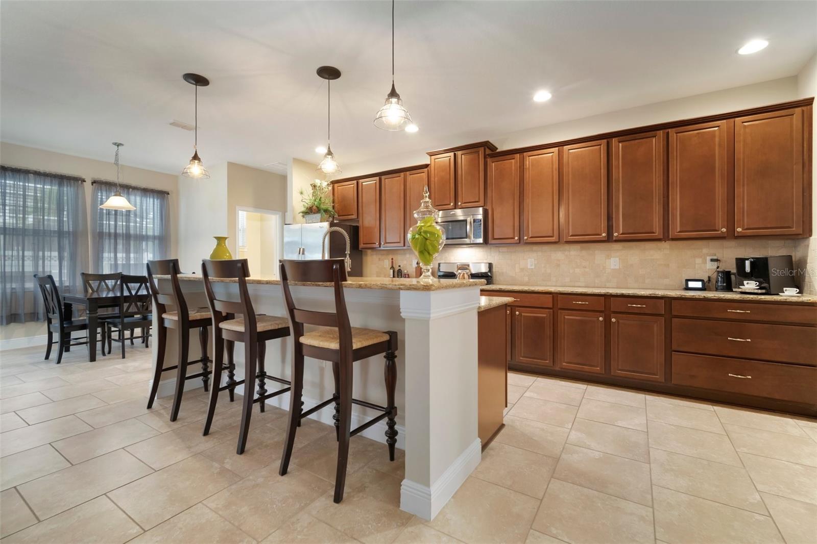513 MANNS HARBOR DR, APOLLO BEACH, FL, 33572