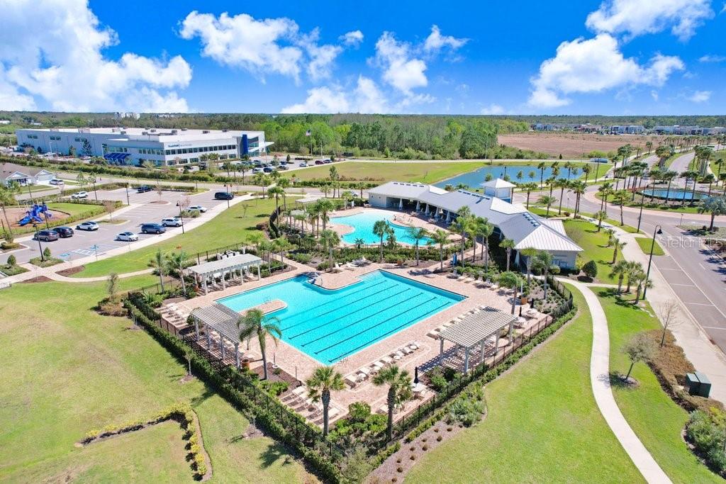 16316 SILENT SANDS LN, ODESSA, FL, 33556