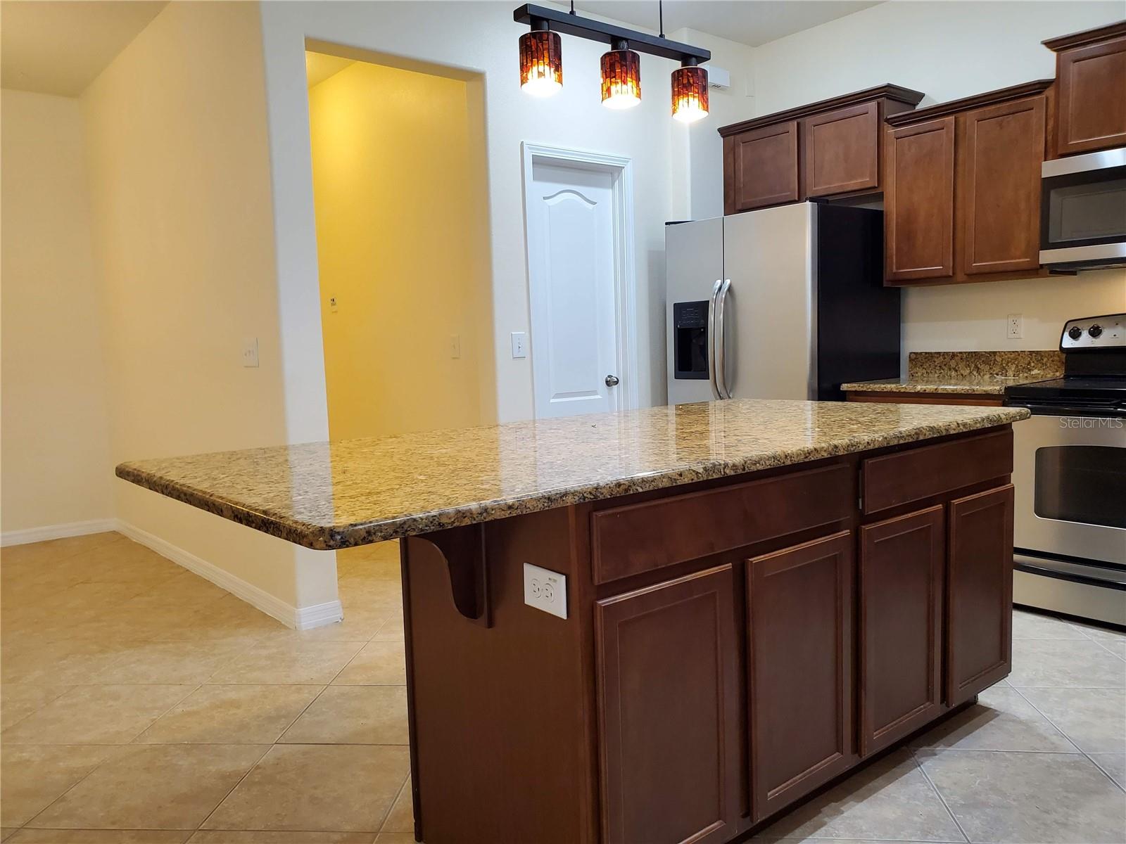 20214 INDIAN ROSEWOOD DR, TAMPA, FL, 33647