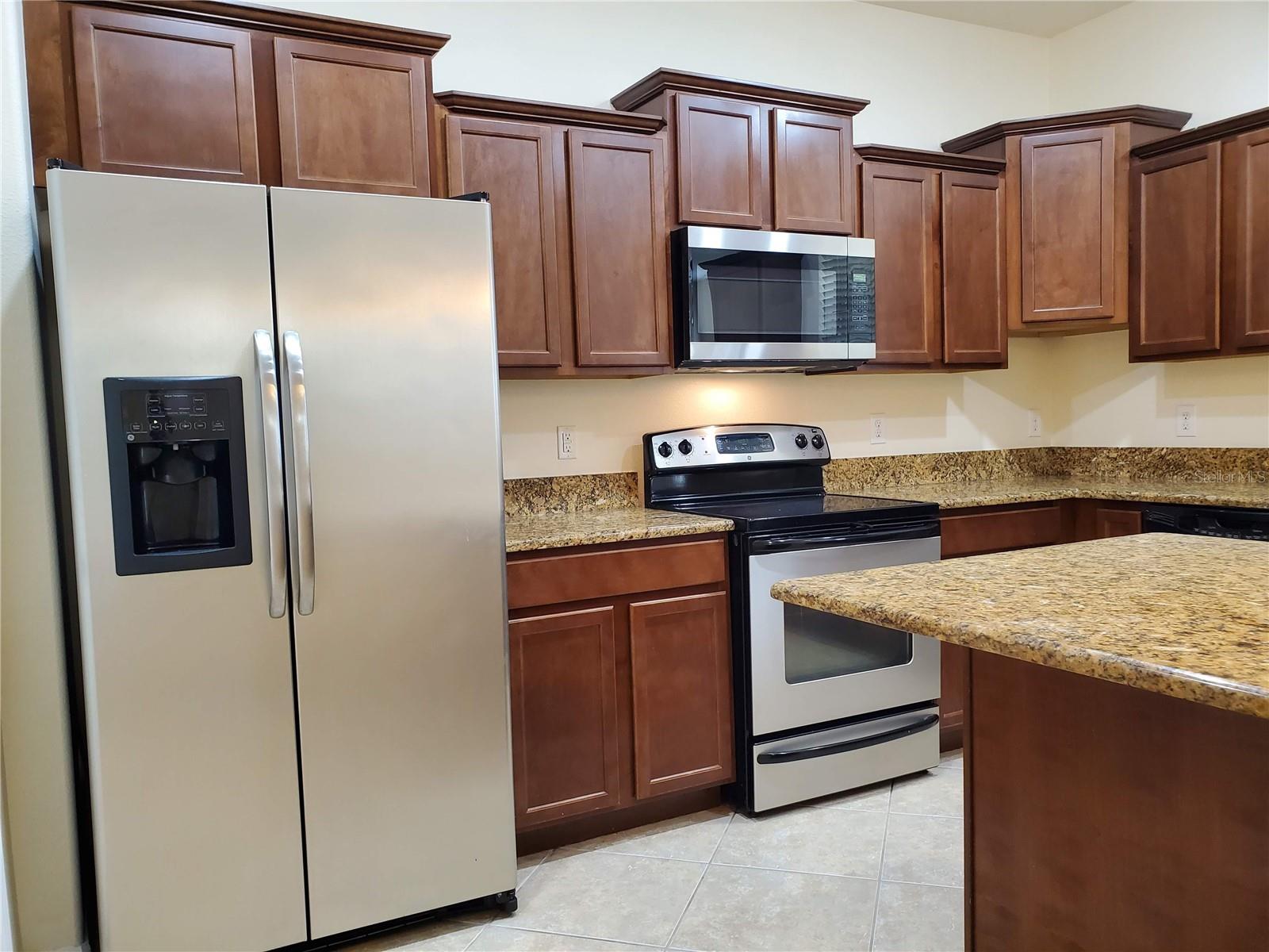 20214 INDIAN ROSEWOOD DR, TAMPA, FL, 33647