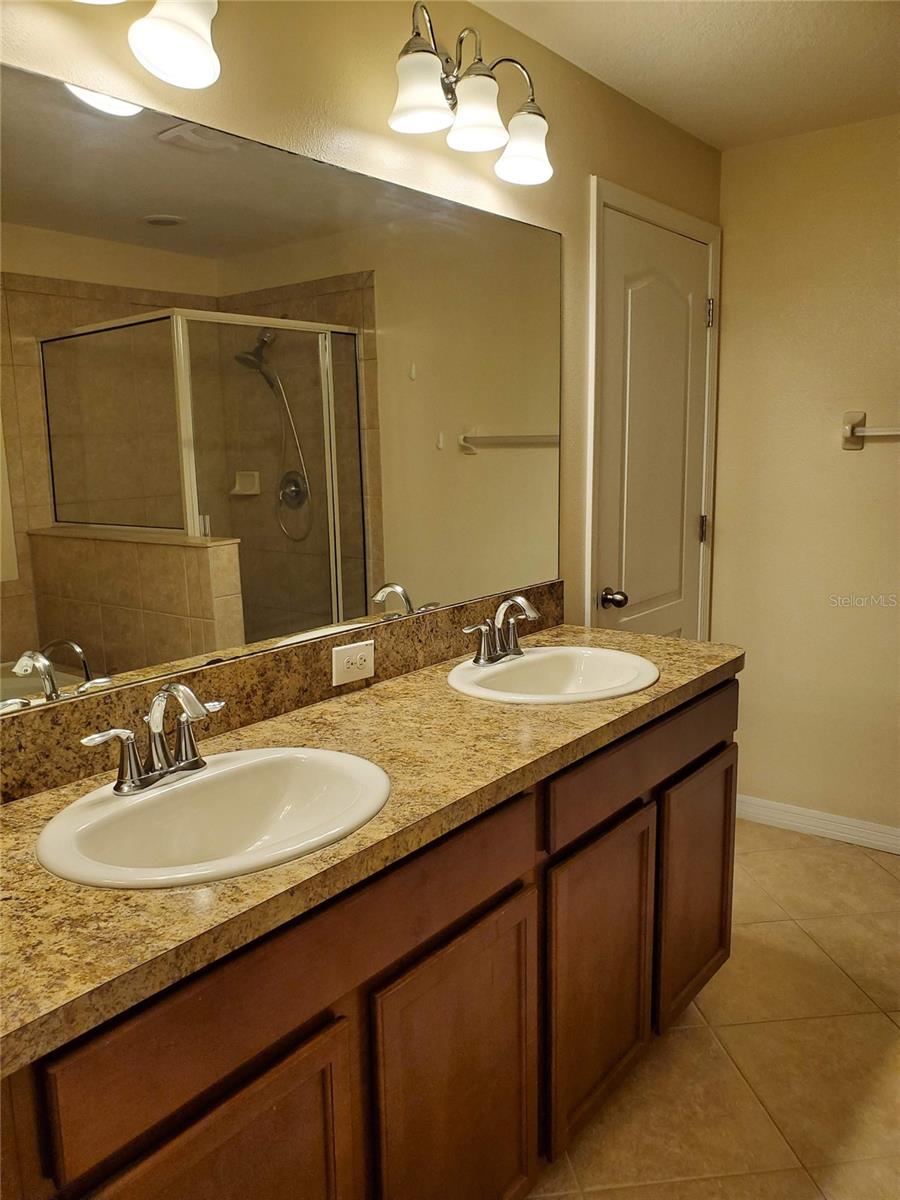 20214 INDIAN ROSEWOOD DR, TAMPA, FL, 33647