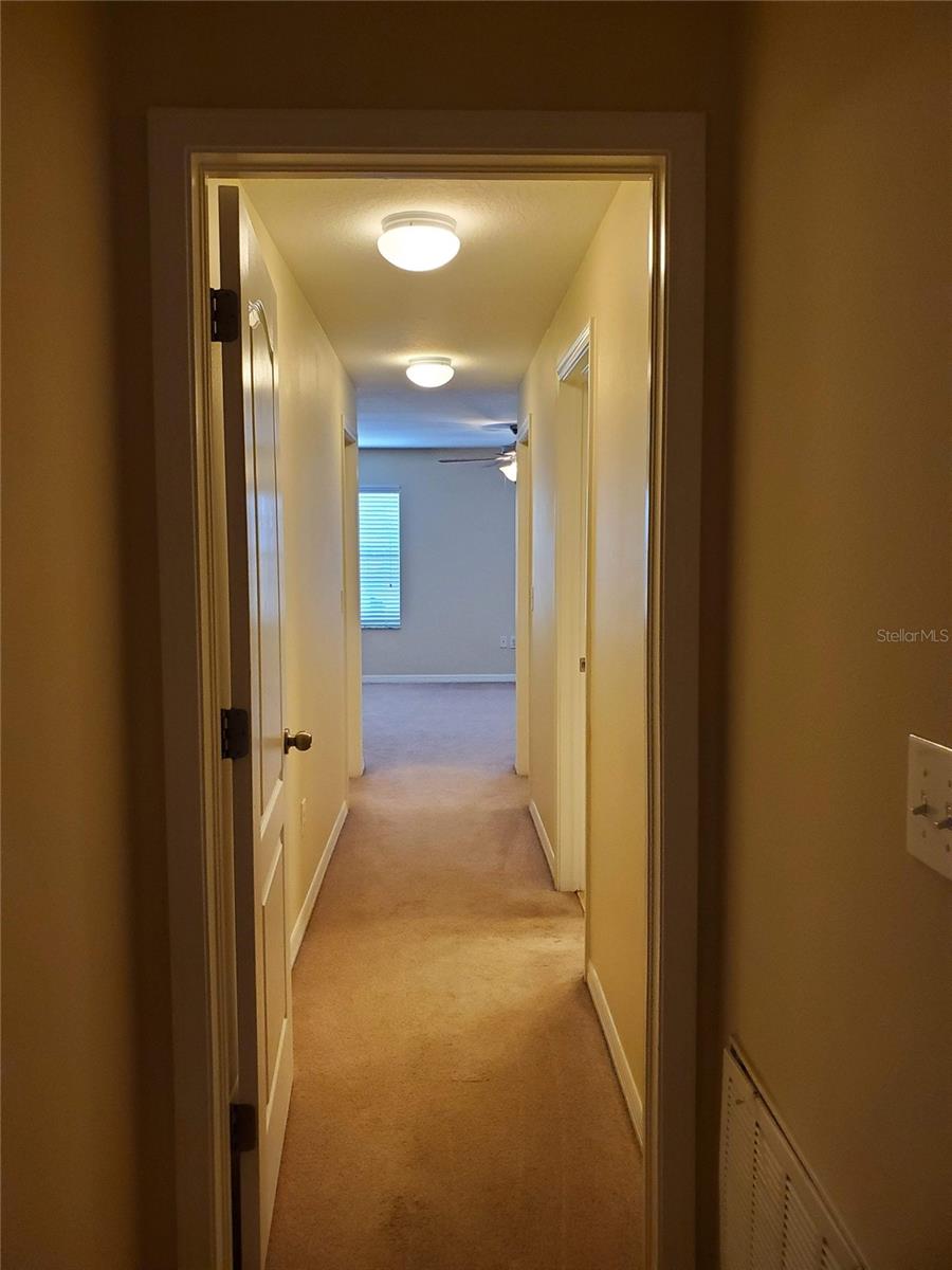 20214 INDIAN ROSEWOOD DR, TAMPA, FL, 33647