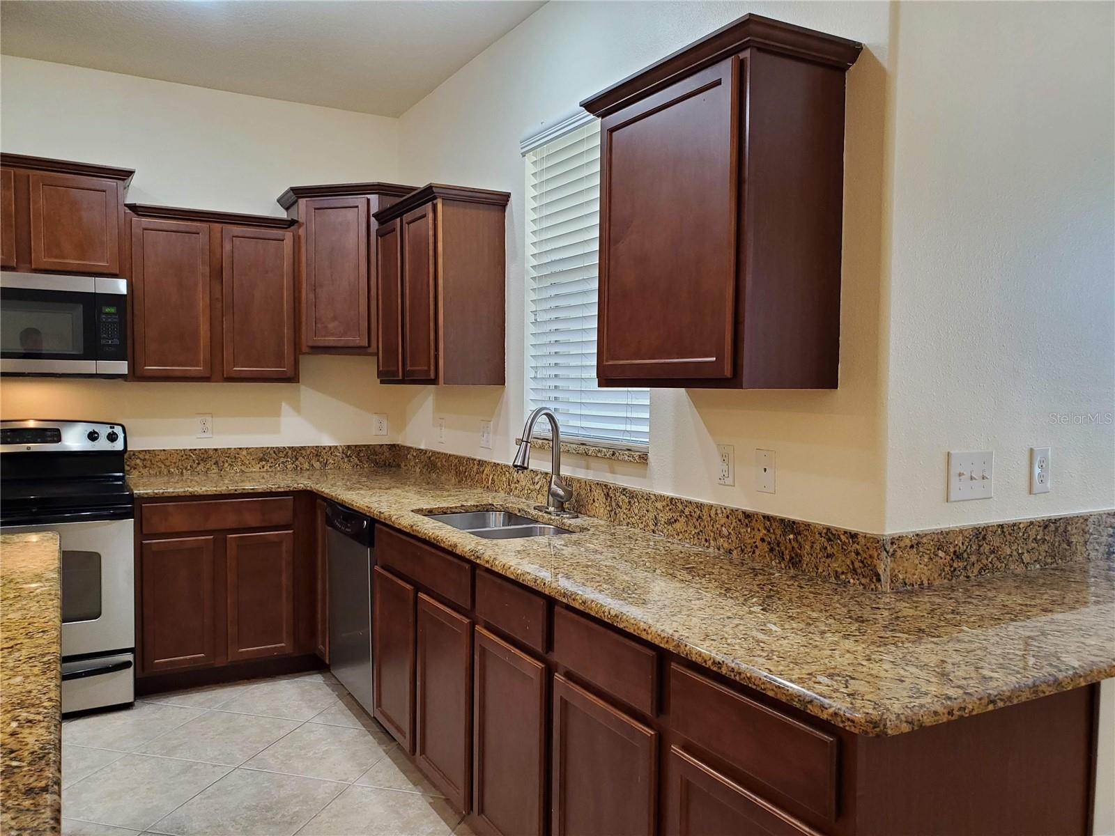 20214 INDIAN ROSEWOOD DR, TAMPA, FL, 33647