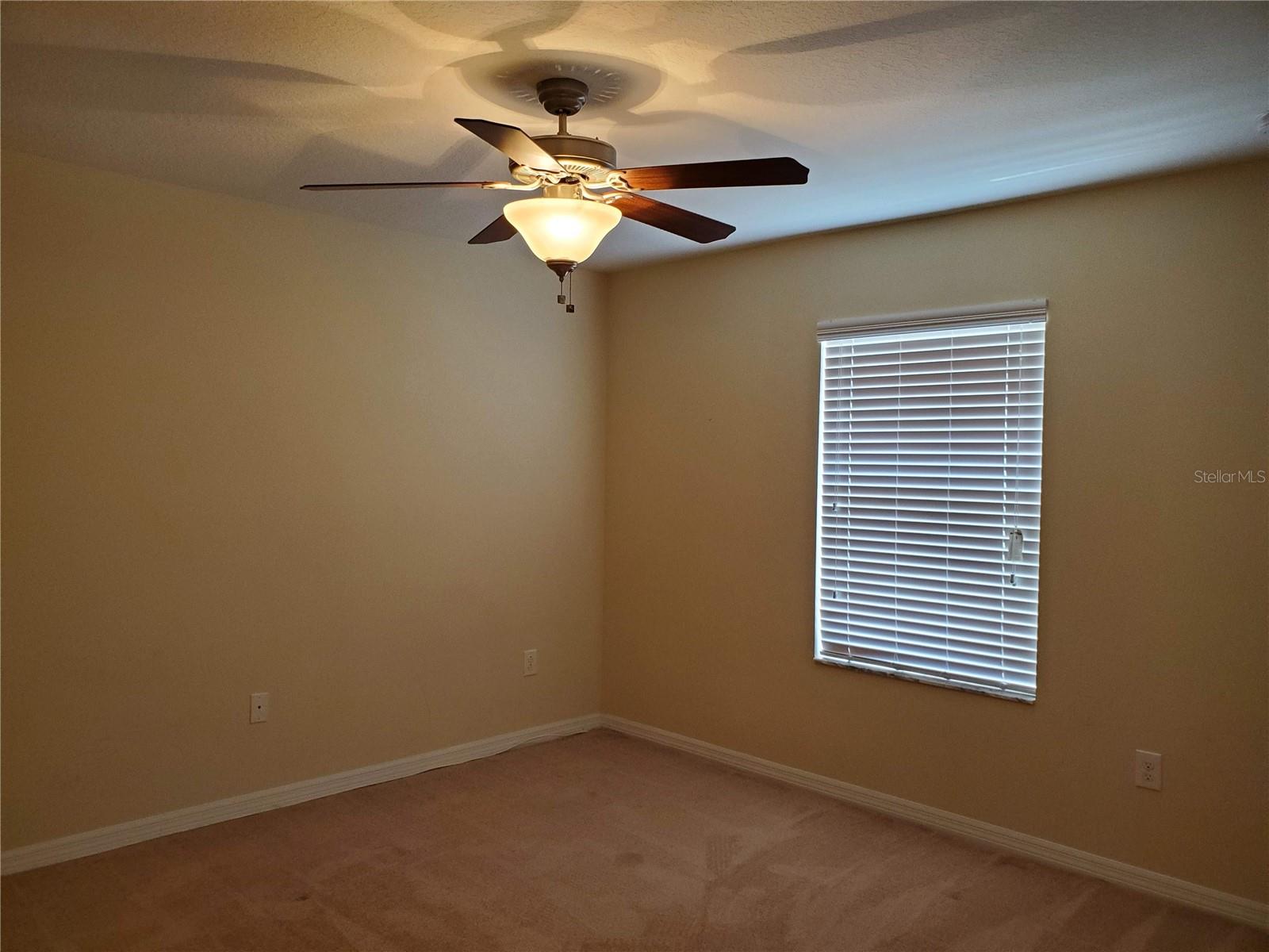20214 INDIAN ROSEWOOD DR, TAMPA, FL, 33647