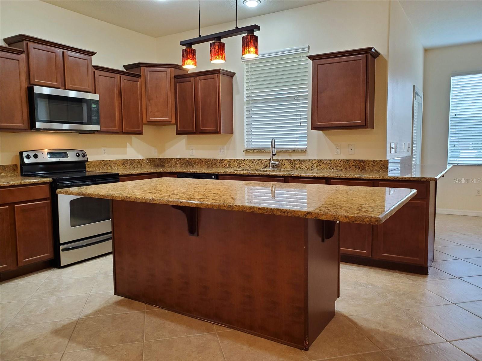 20214 INDIAN ROSEWOOD DR, TAMPA, FL, 33647