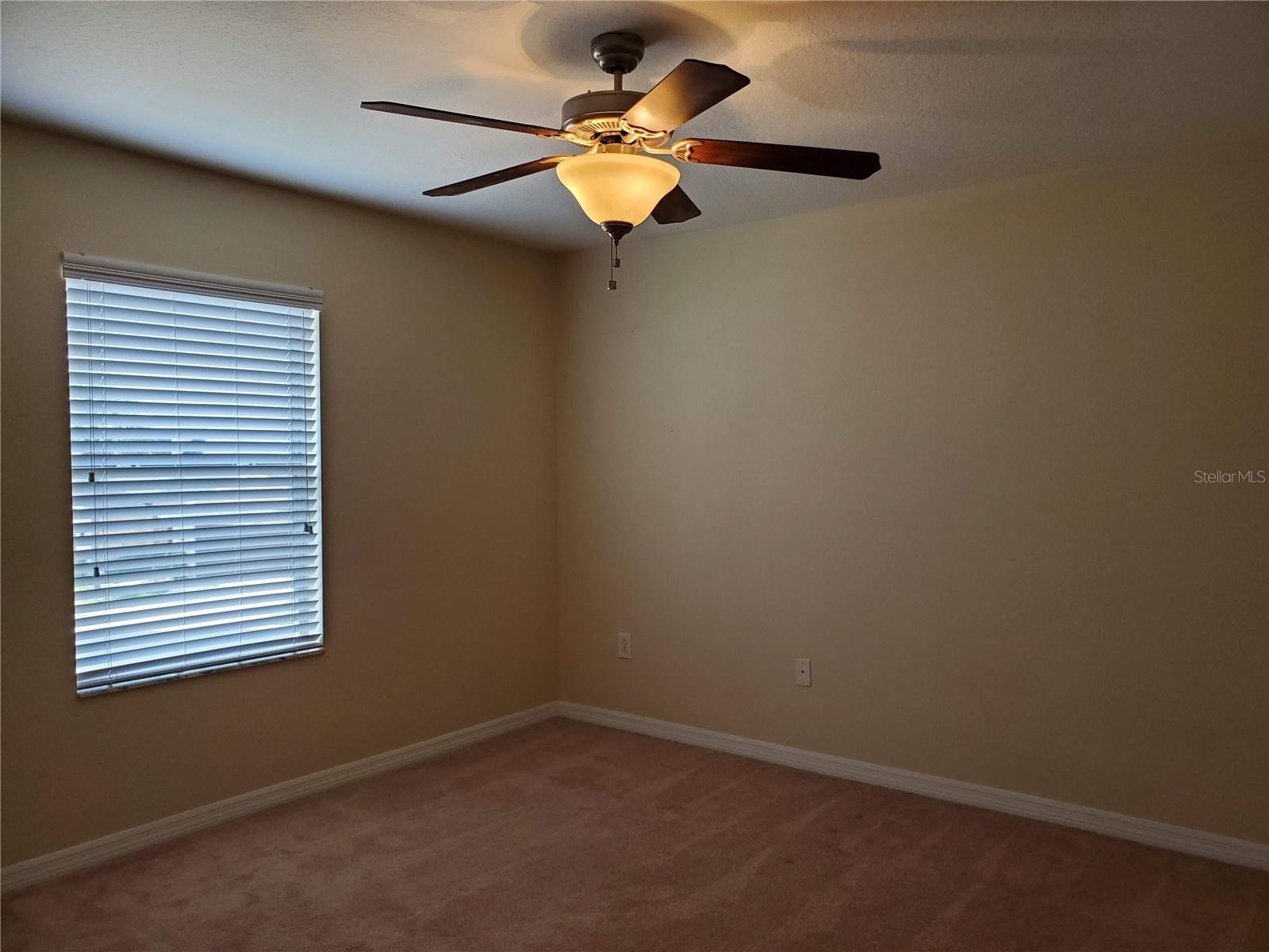 20214 INDIAN ROSEWOOD DR, TAMPA, FL, 33647