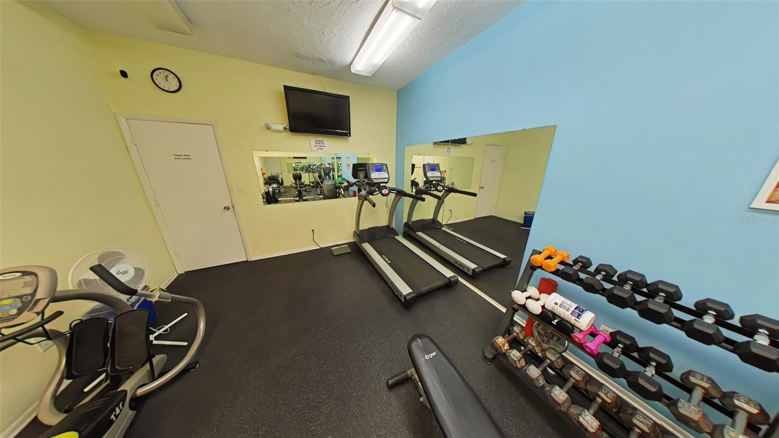 1250 N PORTOFINO DR #203, SARASOTA, FL, 34242