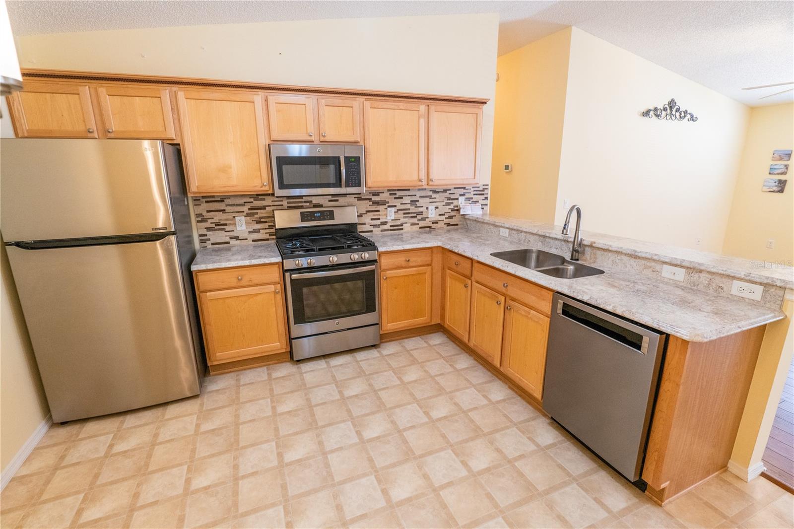 790 BLAKE LN, THE VILLAGES, FL, 32162