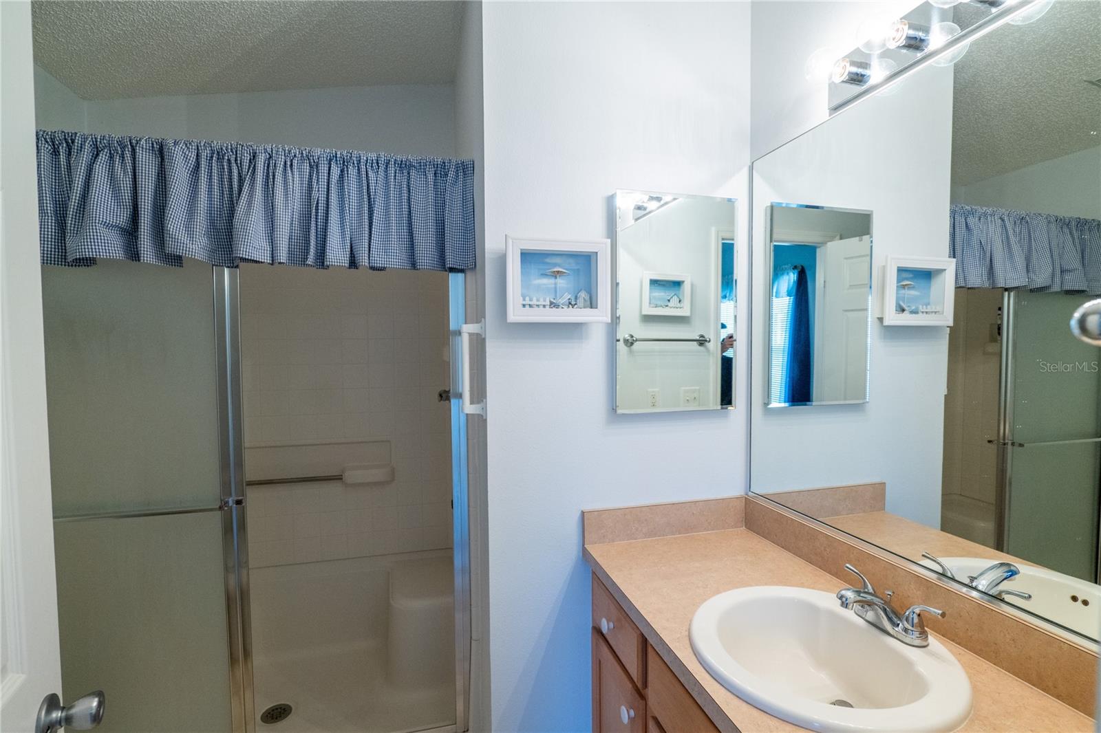 790 BLAKE LN, THE VILLAGES, FL, 32162
