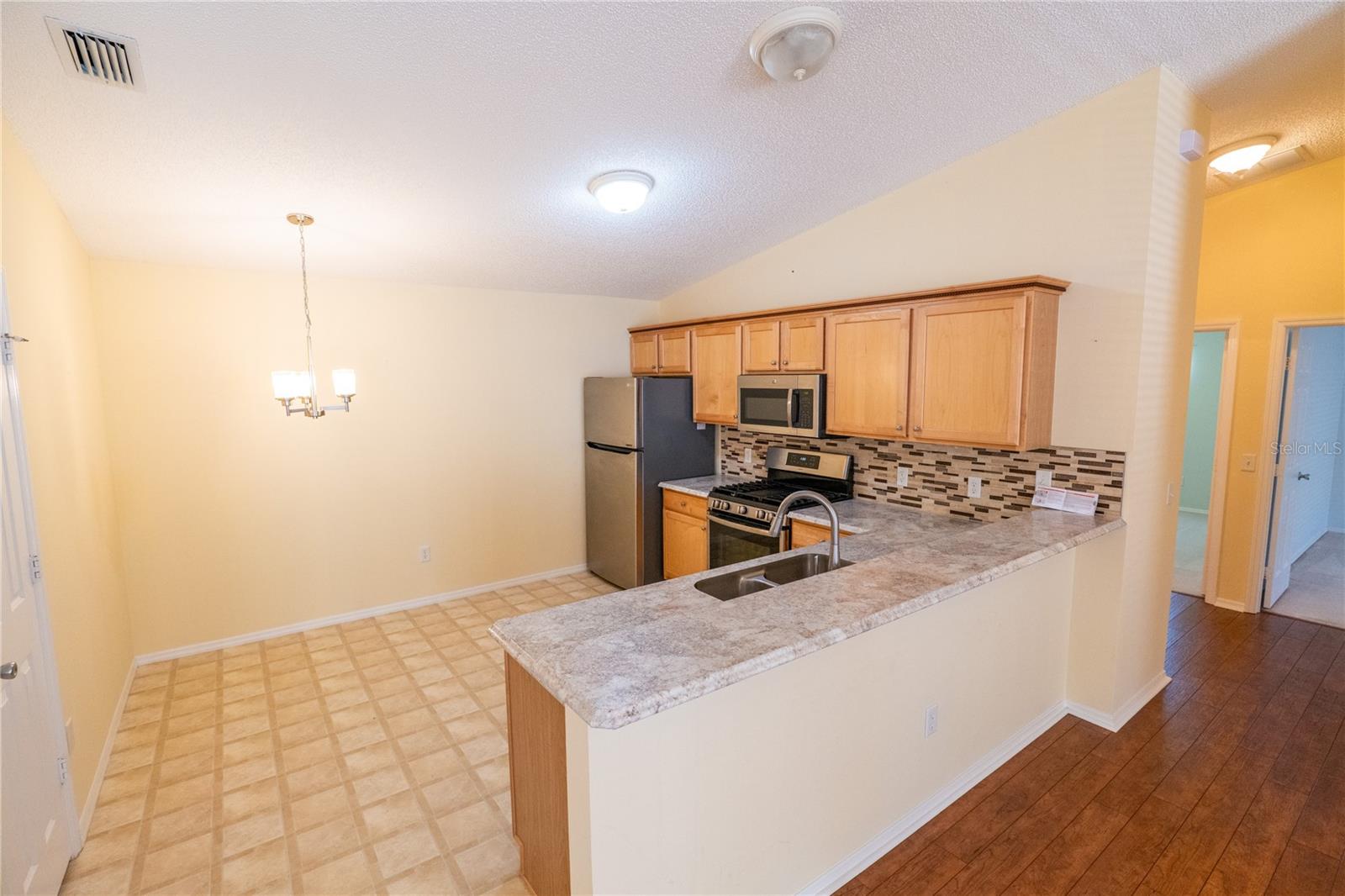 790 BLAKE LN, THE VILLAGES, FL, 32162