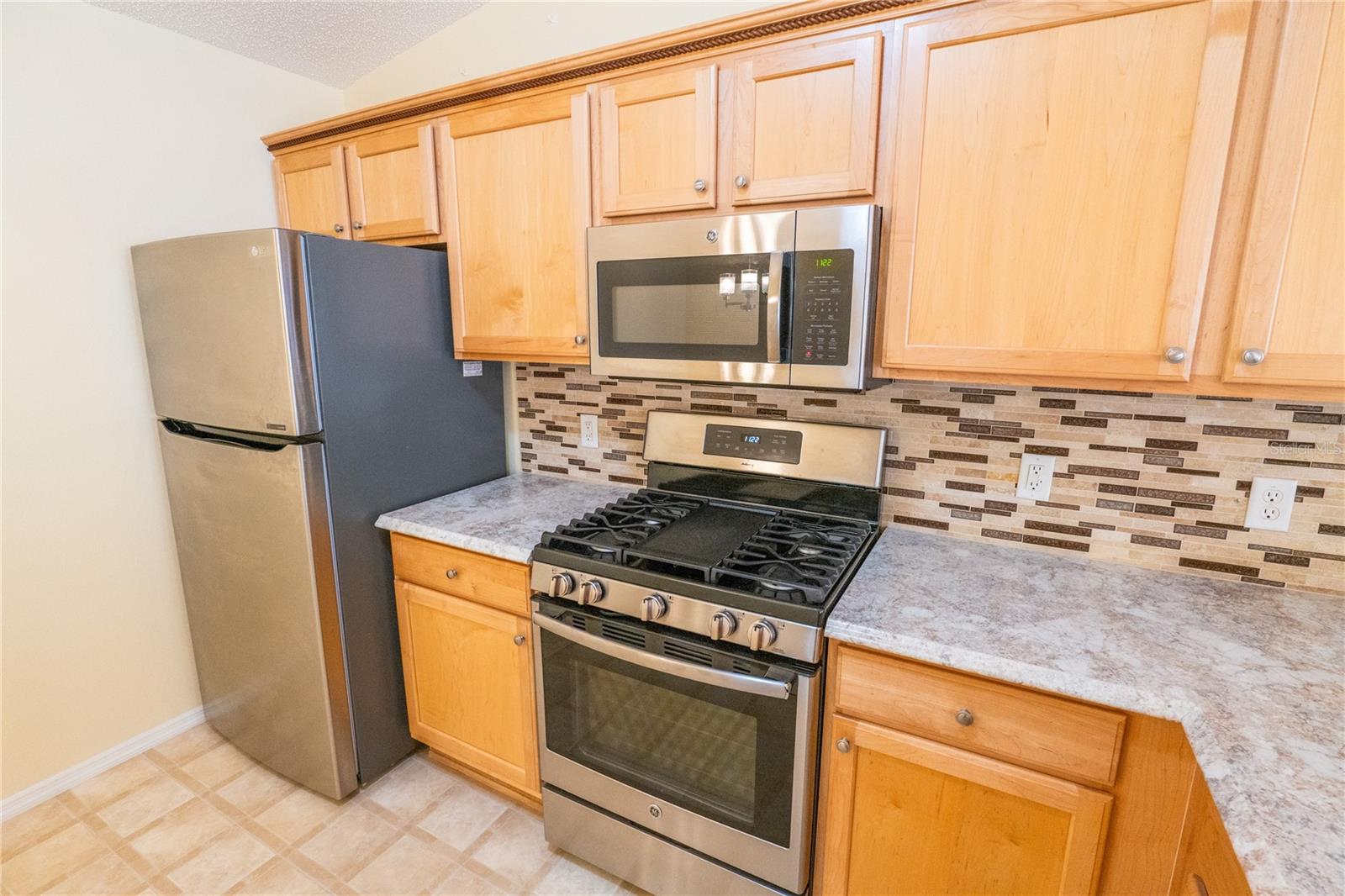 790 BLAKE LN, THE VILLAGES, FL, 32162