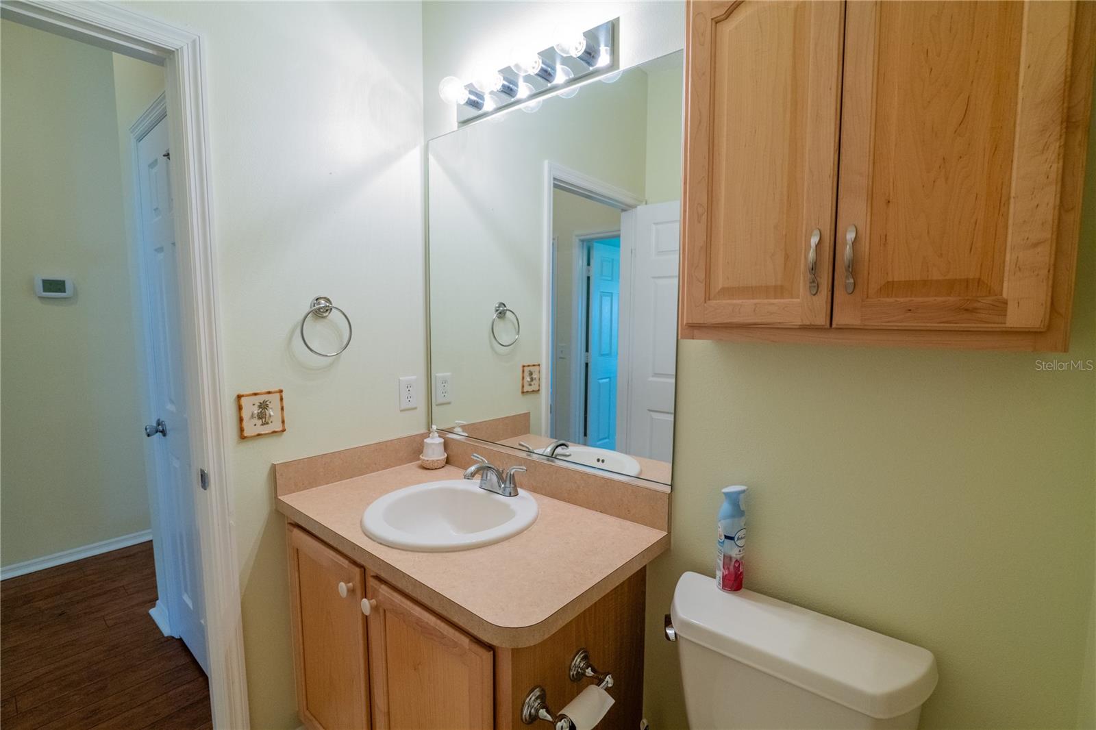 790 BLAKE LN, THE VILLAGES, FL, 32162