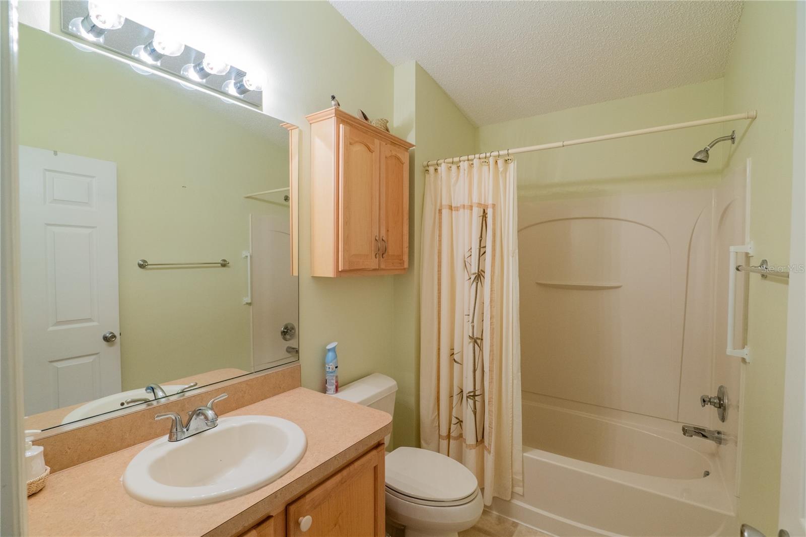 790 BLAKE LN, THE VILLAGES, FL, 32162