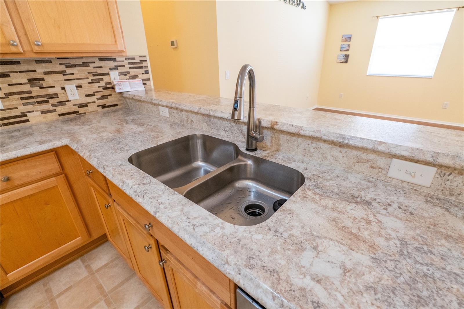 790 BLAKE LN, THE VILLAGES, FL, 32162