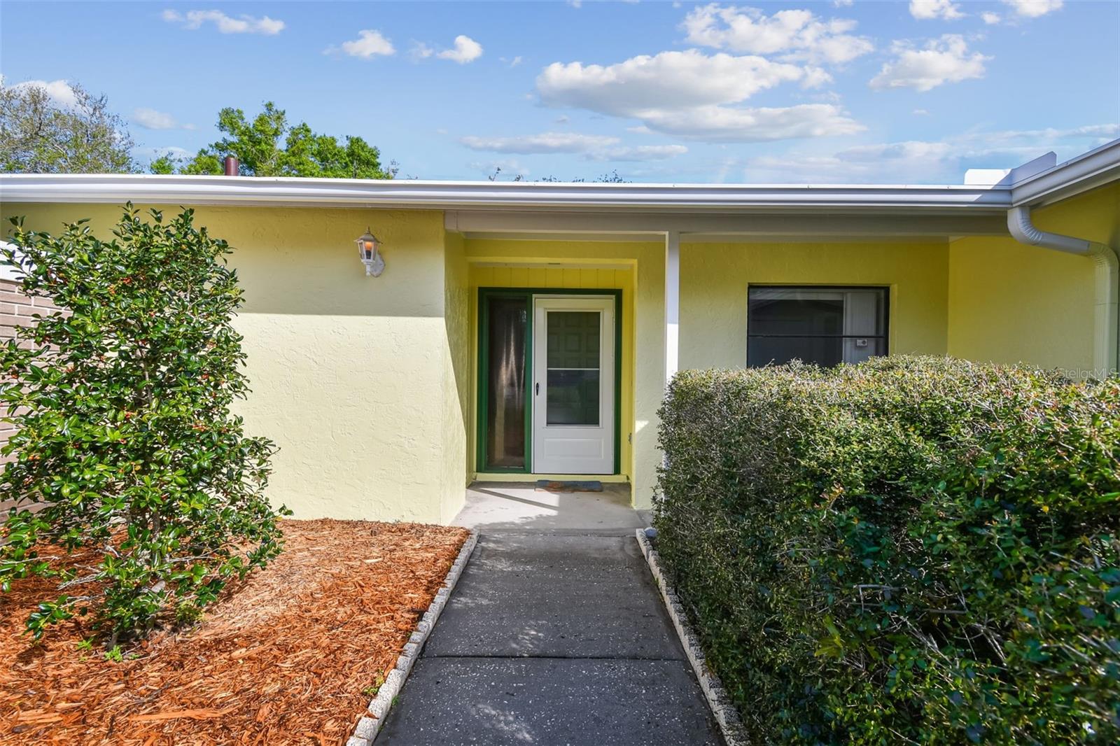 4015 MOUNTAIN SPRINGS LN, TAMPA, FL, 33624
