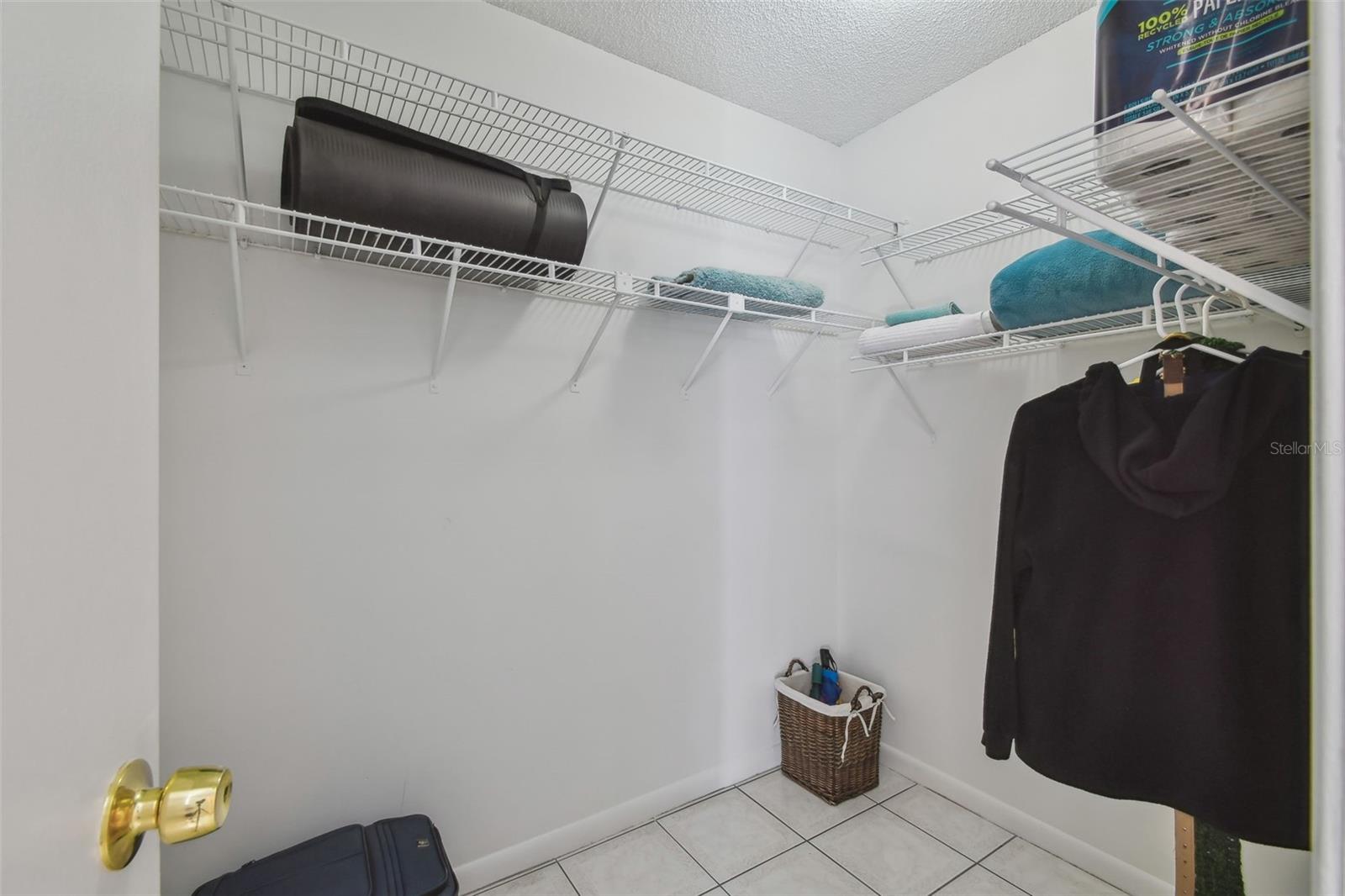 4015 MOUNTAIN SPRINGS LN, TAMPA, FL, 33624