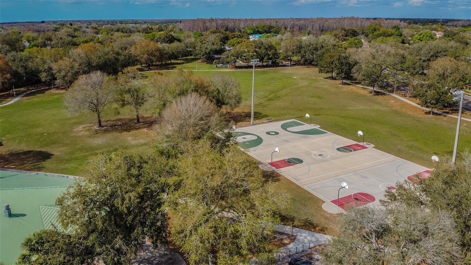 4015 MOUNTAIN SPRINGS LN, TAMPA, FL, 33624