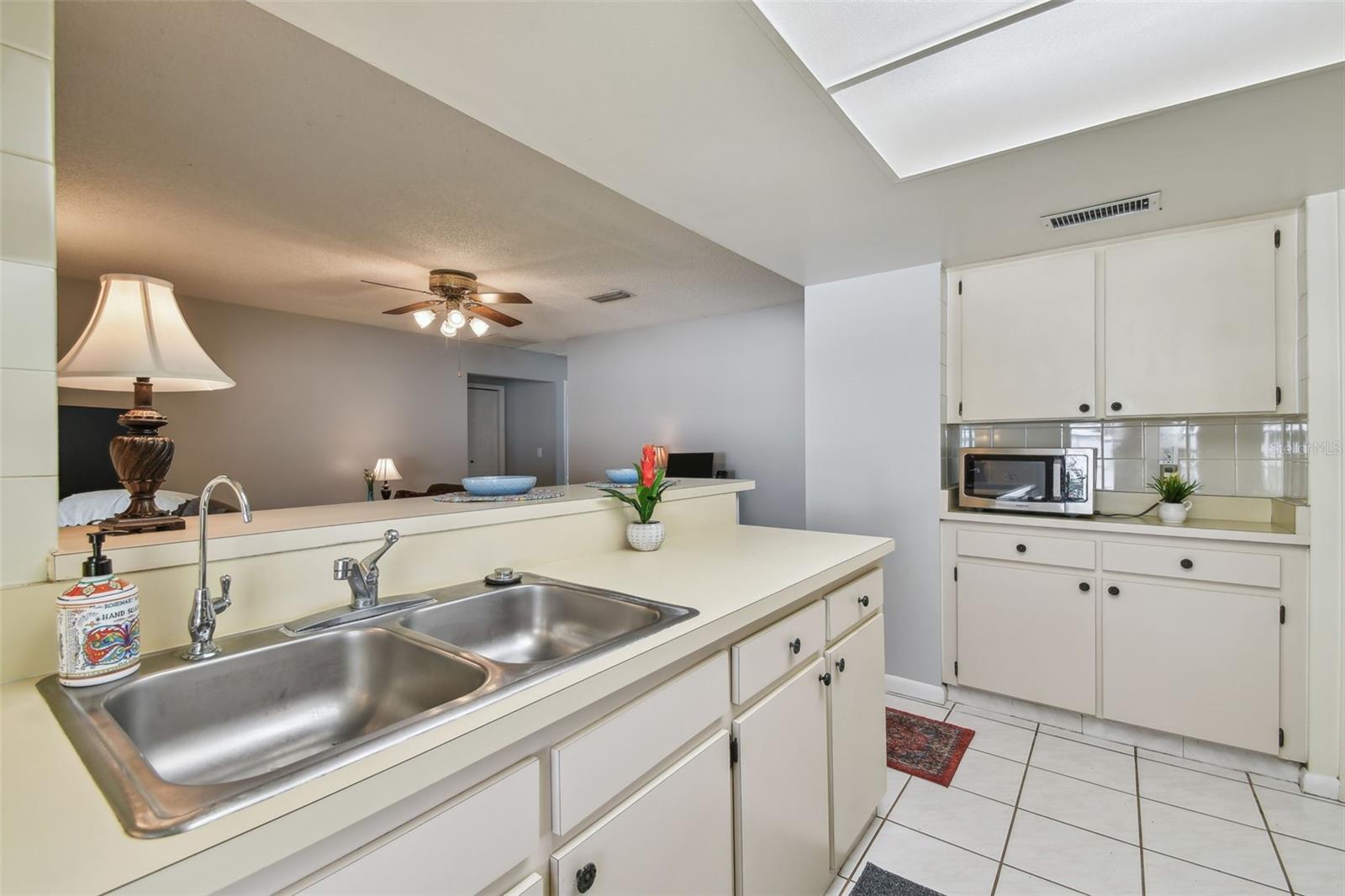 4015 MOUNTAIN SPRINGS LN, TAMPA, FL, 33624