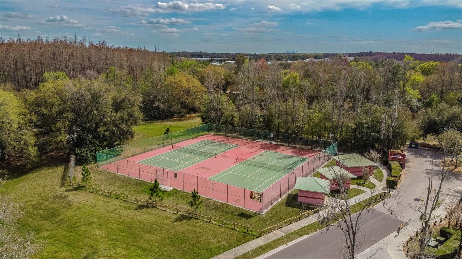 4015 MOUNTAIN SPRINGS LN, TAMPA, FL, 33624