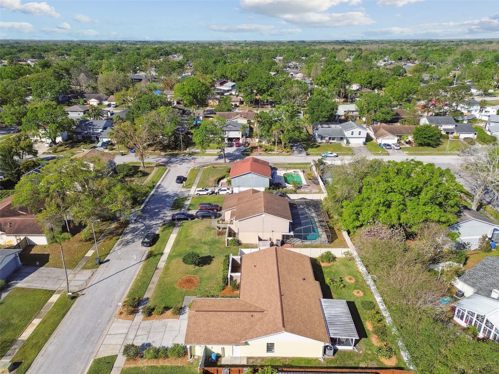 4015 MOUNTAIN SPRINGS LN, TAMPA, FL, 33624