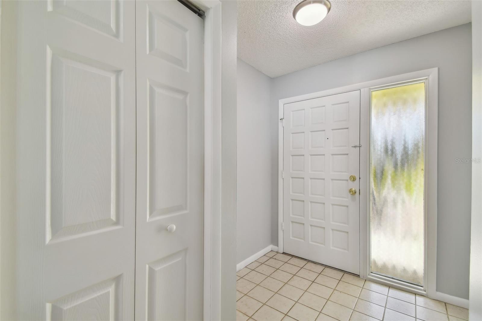 4015 MOUNTAIN SPRINGS LN, TAMPA, FL, 33624