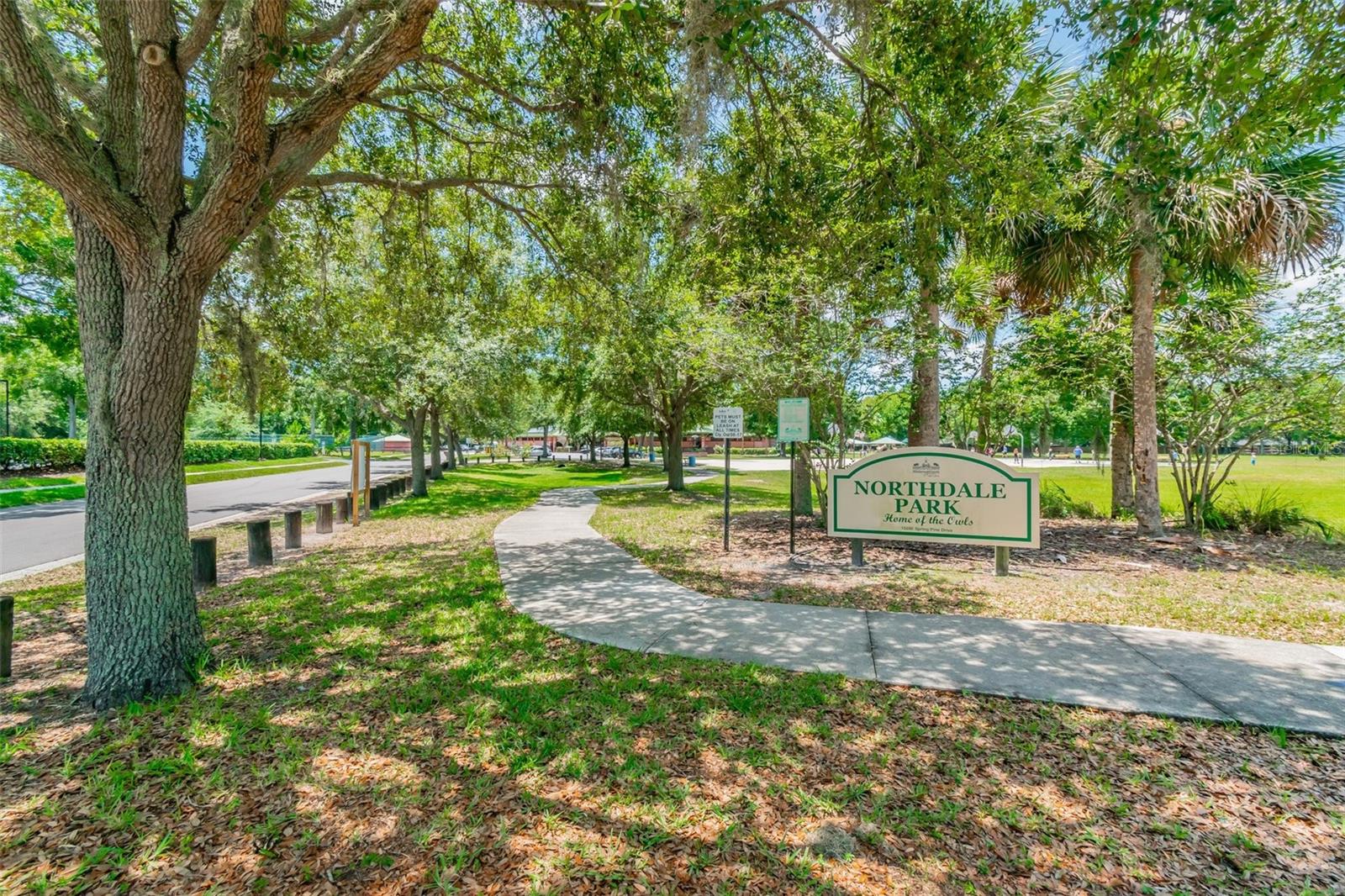 4015 MOUNTAIN SPRINGS LN, TAMPA, FL, 33624