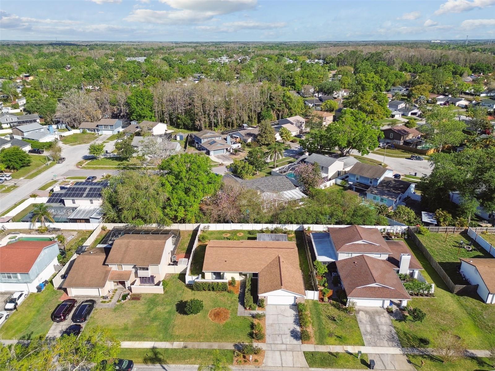 4015 MOUNTAIN SPRINGS LN, TAMPA, FL, 33624