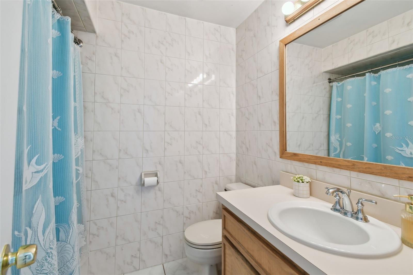 4015 MOUNTAIN SPRINGS LN, TAMPA, FL, 33624