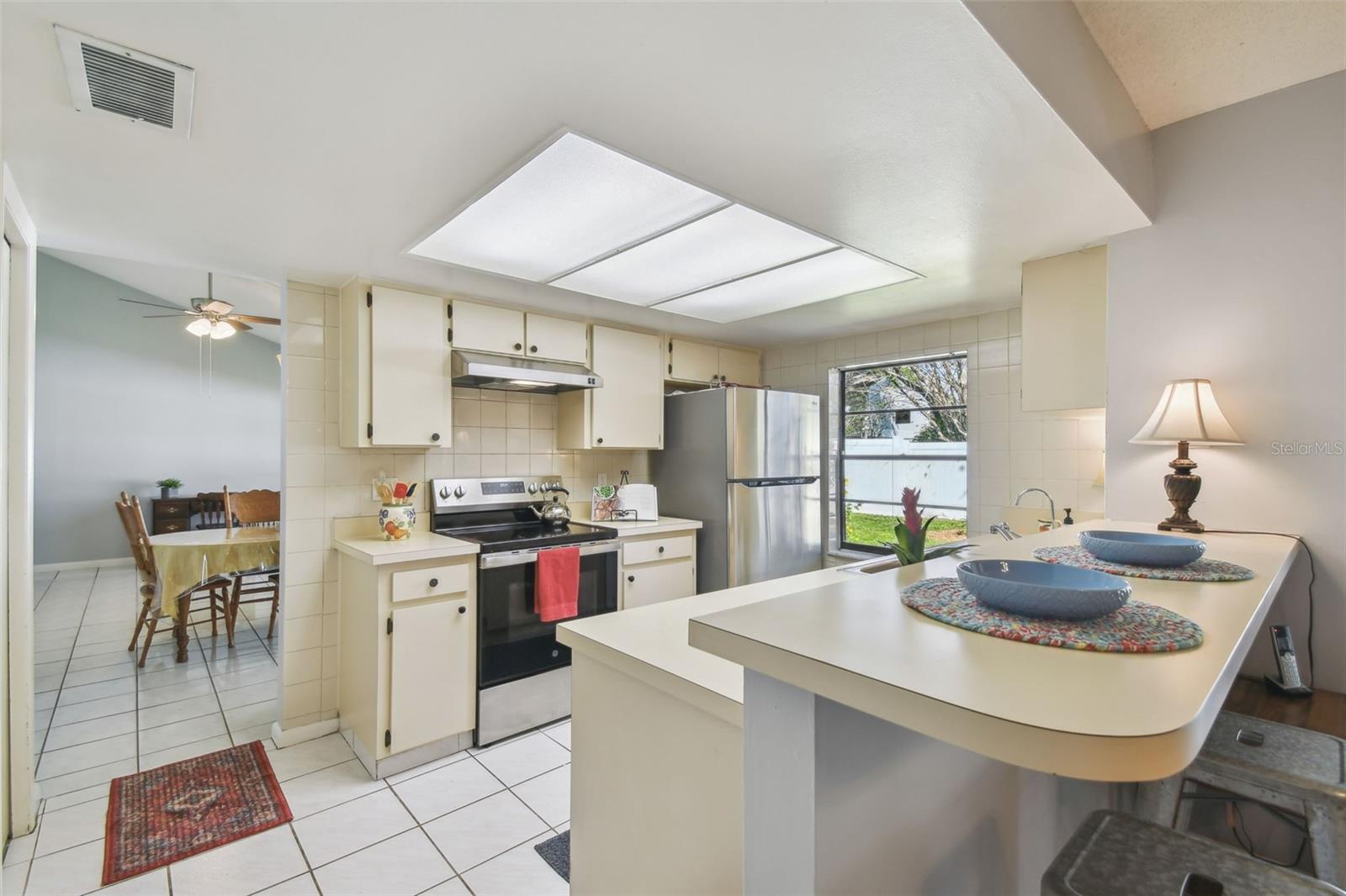 4015 MOUNTAIN SPRINGS LN, TAMPA, FL, 33624