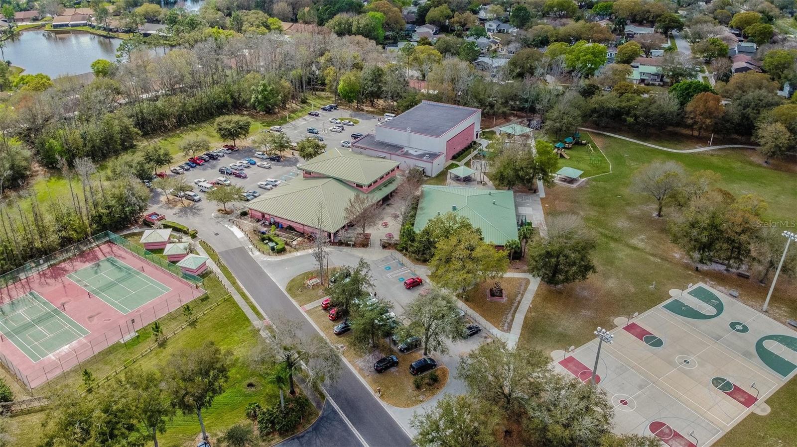 4015 MOUNTAIN SPRINGS LN, TAMPA, FL, 33624