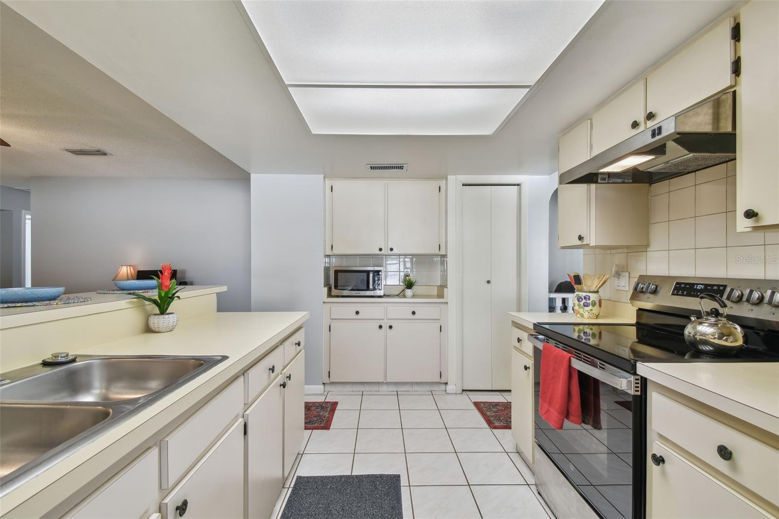 4015 MOUNTAIN SPRINGS LN, TAMPA, FL, 33624